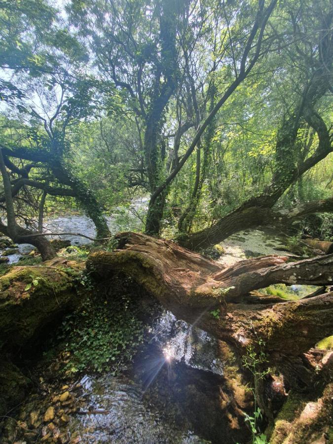 Timber valley Plitvička Jezera Eksteriør bilde